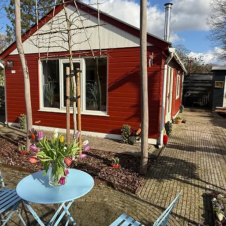 Eekhoorn, Met Barrelsauna Holiday home