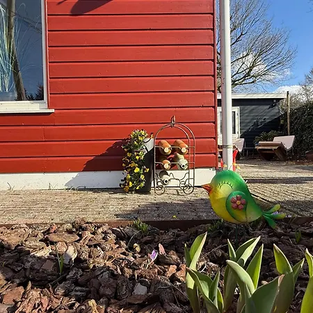 Eekhoorn, Met Barrelsauna * Voorthuizen