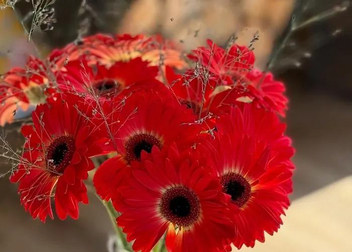 Eekhoorn, Met Barrelsauna